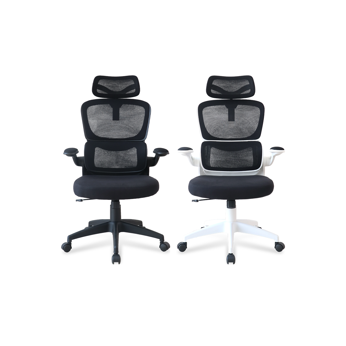 Rexus chair sale