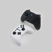 Gamepad Itu Apa, Sih? Dan Kenapa Gamer Suka Banget Pakai?