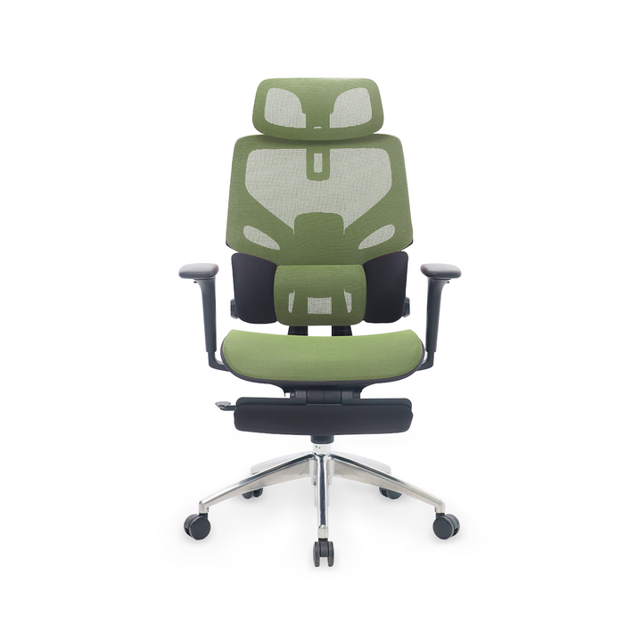 Rexus Ergonomic Chair Daxa ZEN EC3