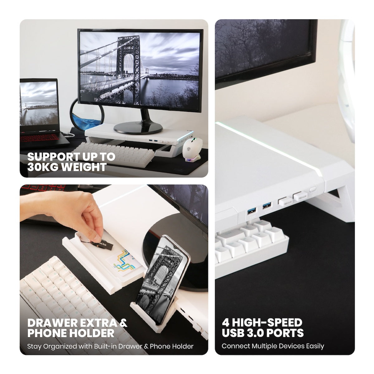 Rexus Monitor Stand Trant FP03