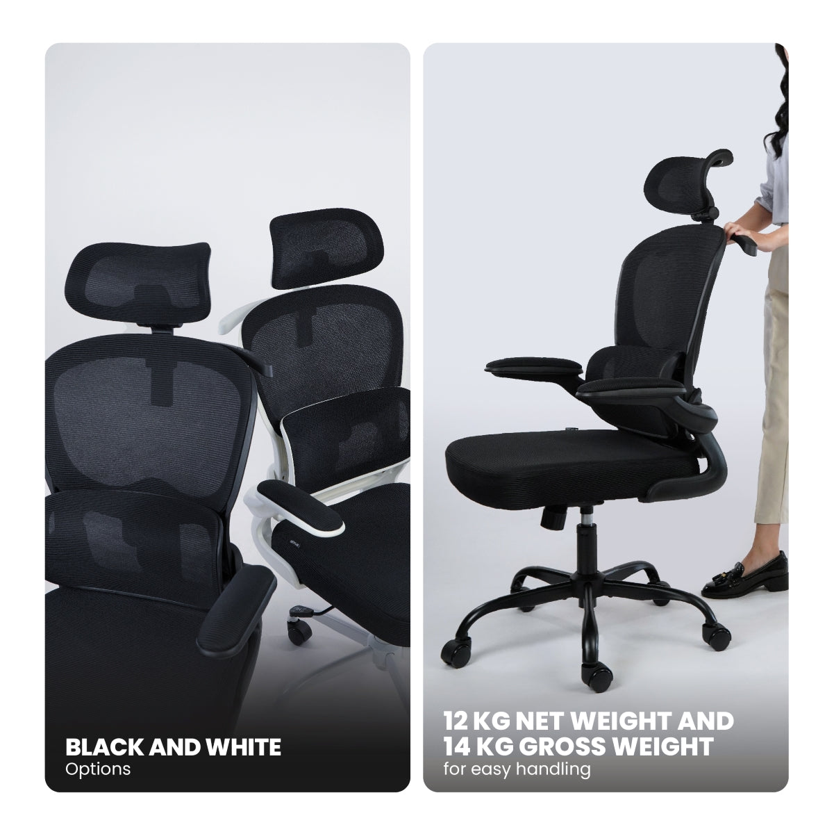 Rexus Ergonomic Office Chair Kursi Kantor NC2